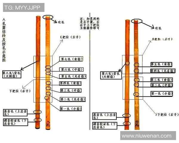 黄强独家分享网球心得与技巧助你提升球技的全面指南